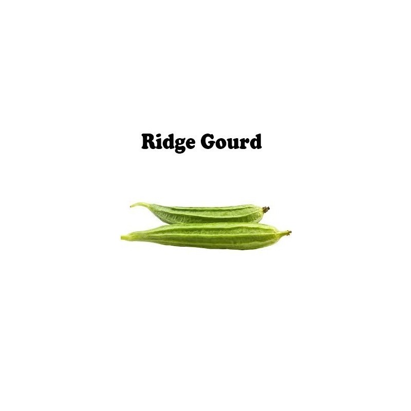 Ridge Gourd