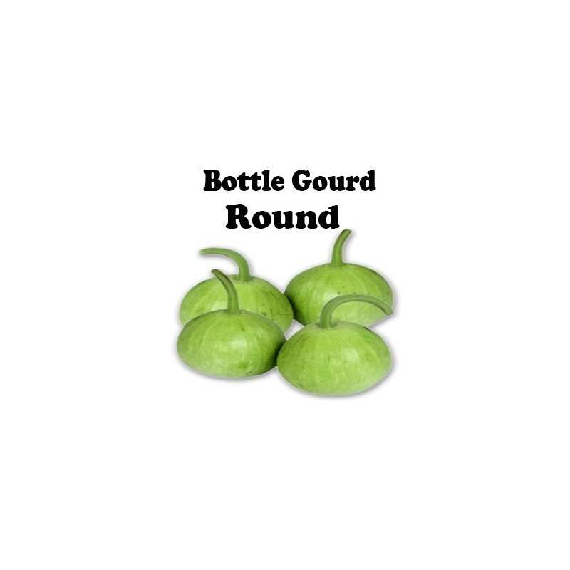 Bottle Gourd(Round)
