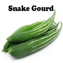 Snake Gourd