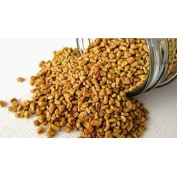 Fenugreek Seeds