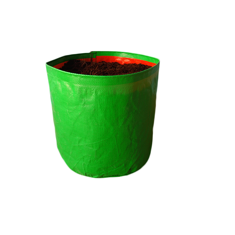 HDPE Grow Bag 12" X 10"(220 GSM)