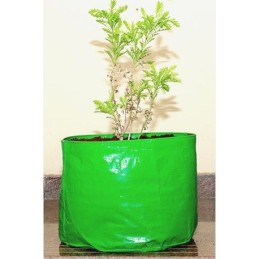 HDPE Grow Bag 15" X 12"(220 GSM)