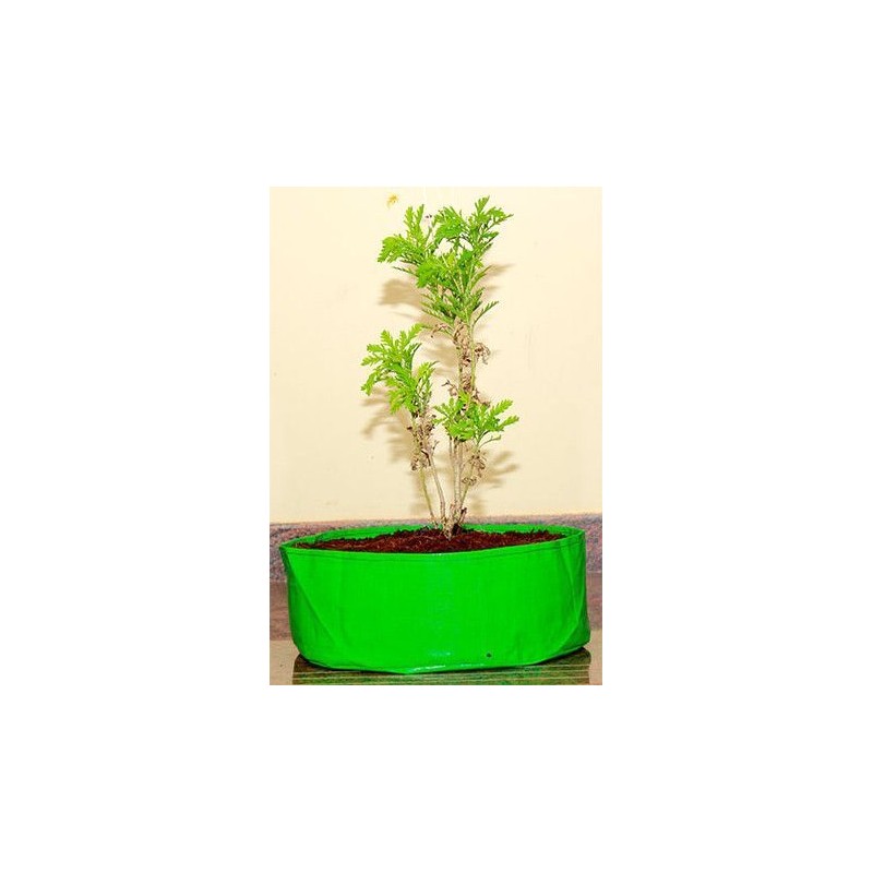 HDPE Grow Bag 18" X 09"(220 GSM)