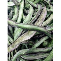 Climbing Pole Beans Seeds(Kodi Avarai)