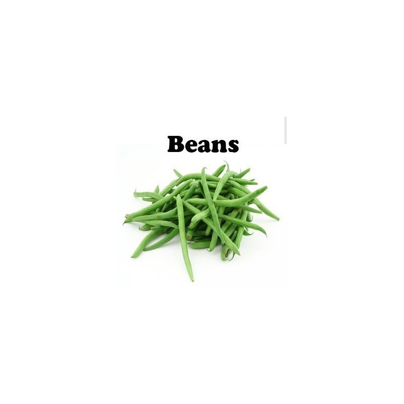 Beans Seeds 