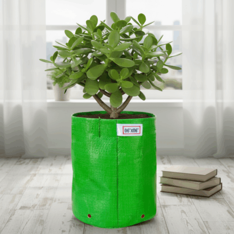 HDPE Round | Circular Grow Bag 06x06 Inch | 220GSM