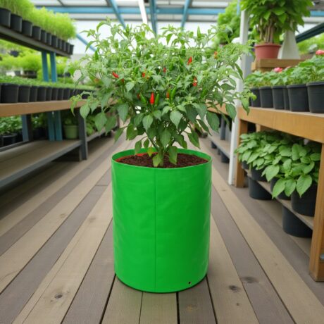 HDPE Round | Circular Grow Bag 09x12 Inch | 220GSM