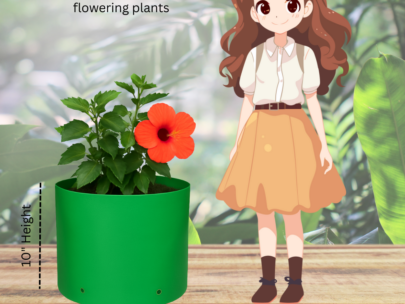 HDPE Round | Circular Grow Bag 10x10 Inch | 340GSM