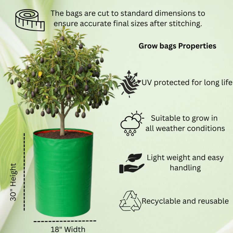 grow bags for avacado trees