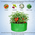 hdpe 340gsm grow bags for gardening