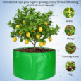 heavy duty grow bags for growing fruits