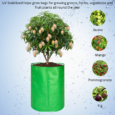 Heavy duty grow bag