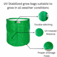 Grow bag for tomatoes