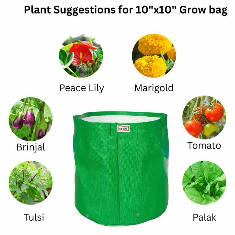 Grow bag for flowering plants