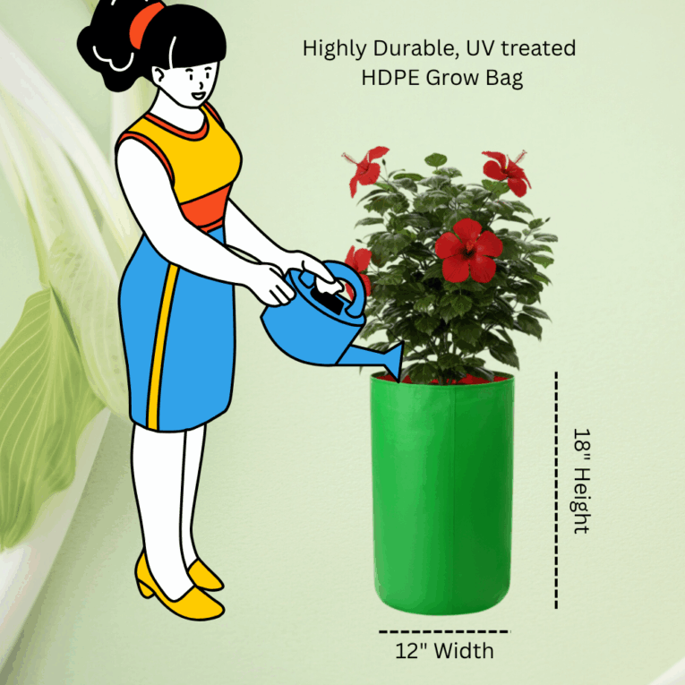 Terrace garden hdpe grow bags