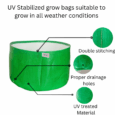Terrace gardening grow bags