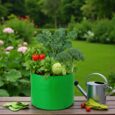Grow bag for terrace garden