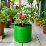 Grow bag for terrace gardening