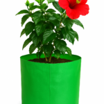 Home gardening grow bag