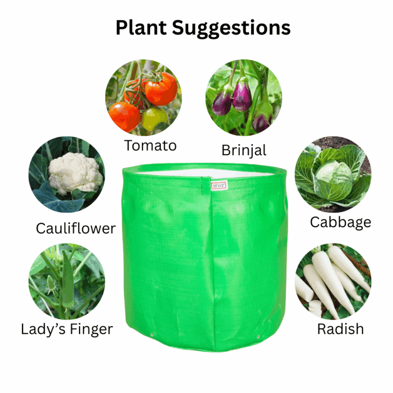 Terrace gardening grow bags