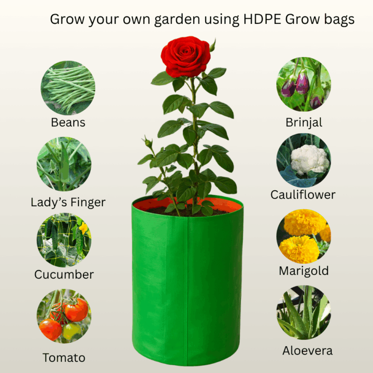 Best grow bag for terrace garden