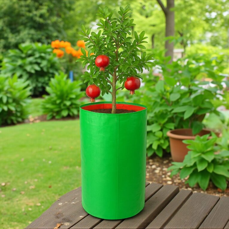 Sustainable outdoor planters