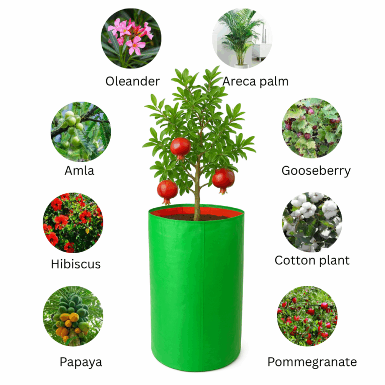 Reusable growing bags for large plants