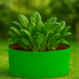 Leafy vegetables grow bags
