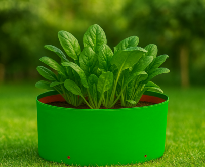 HDPE Round | Circular Grow Bag 15x06 Inch | 220GSM