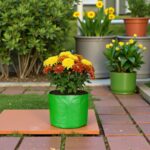 Grow bag for vegetables