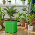 Nursery grow bag 340 GSM