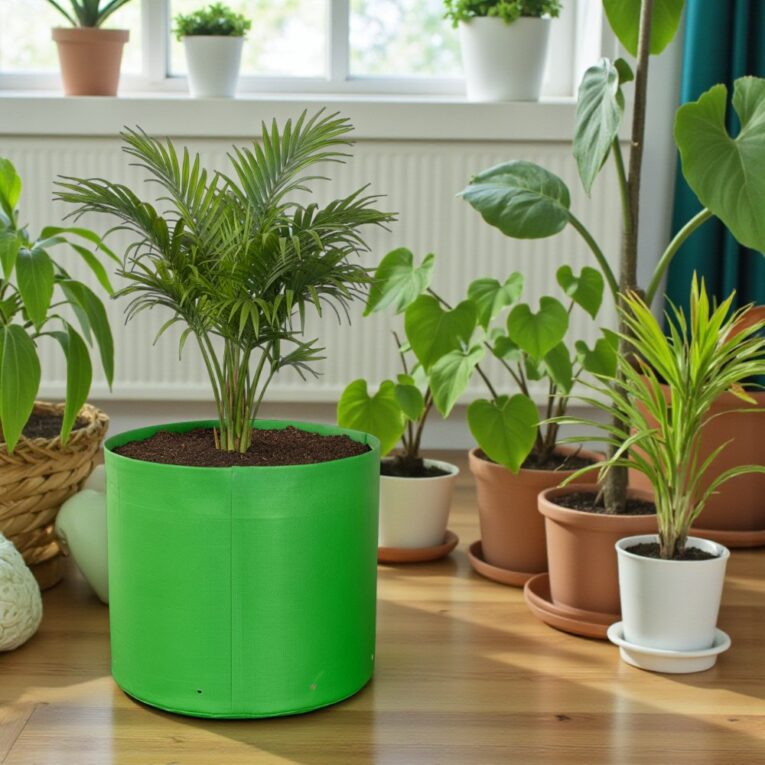 Nursery grow bag 340 GSM