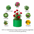 Grow bag for terrace garden