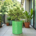 Best 340 GSM grow bag for terrace garden