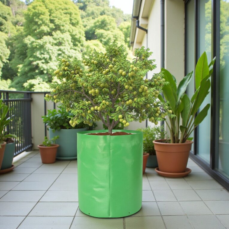 Best 340 GSM grow bag for terrace garden