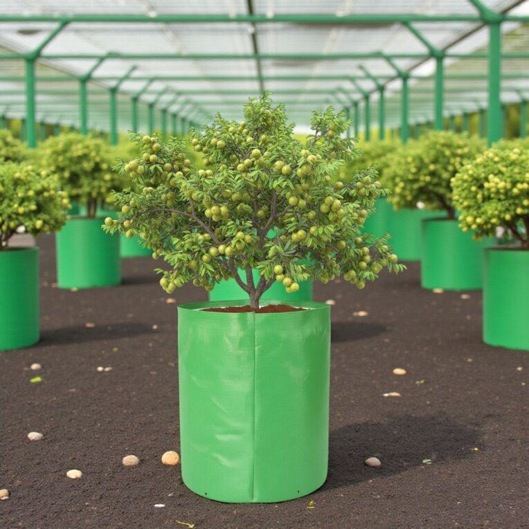 Buy 340 GSM grow bag online