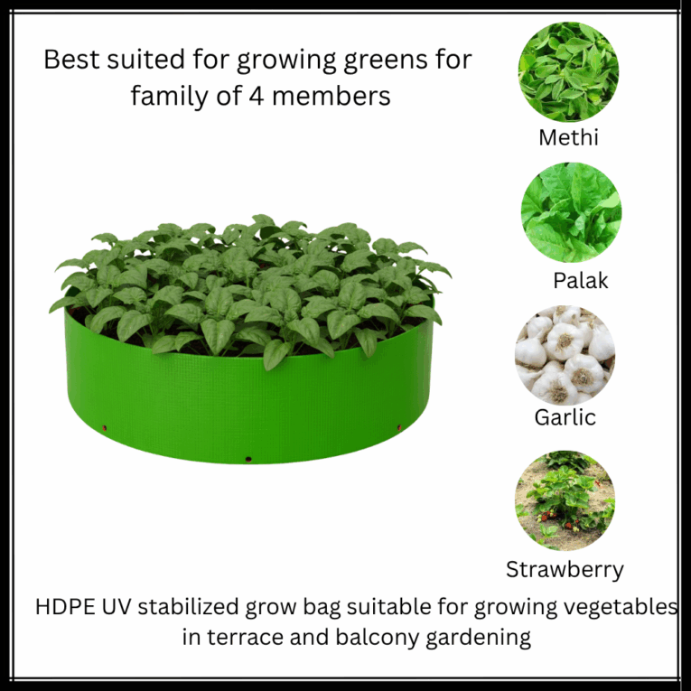 Plant suggestions for hdpe grow bags