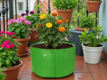 HDPE Round | Circular Grow Bag 18x09 Inch | 340GSM