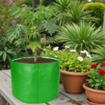 Best 340 GSM grow bag for terrace garden