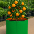 Terrace garden hdpe grow bags