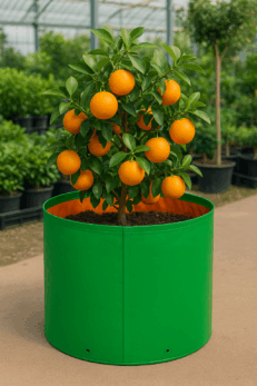 HDPE Round | Circular Grow Bag 18x15 Inch | 220GSM