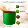 Reusable growing bags for large plants
