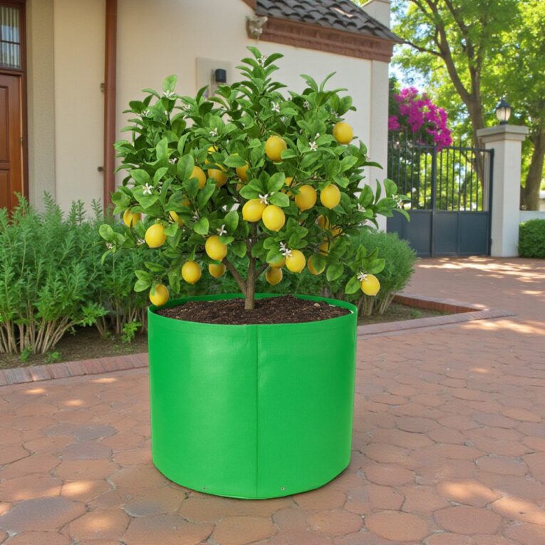 Wholesale grow bags 340 GSM