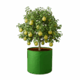 Container grow bags