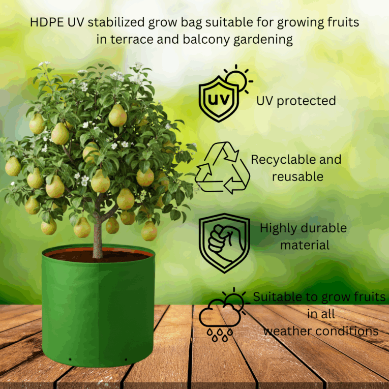 Large grow bags for fruit trees