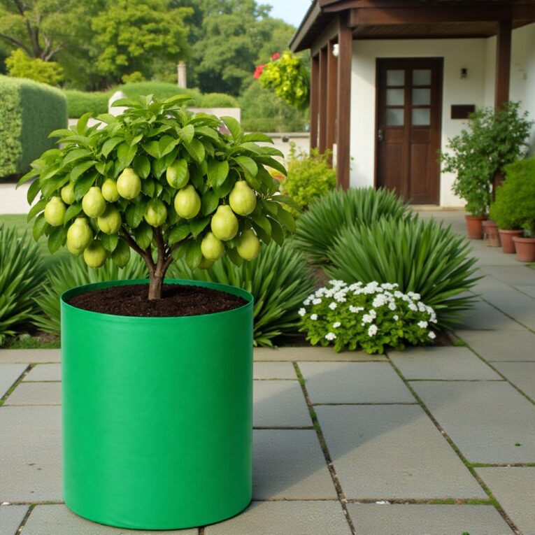 hdpe grow bags online