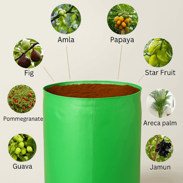 Plant suggestions for grow bags