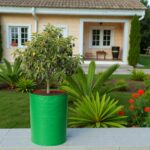 grow bags for trees