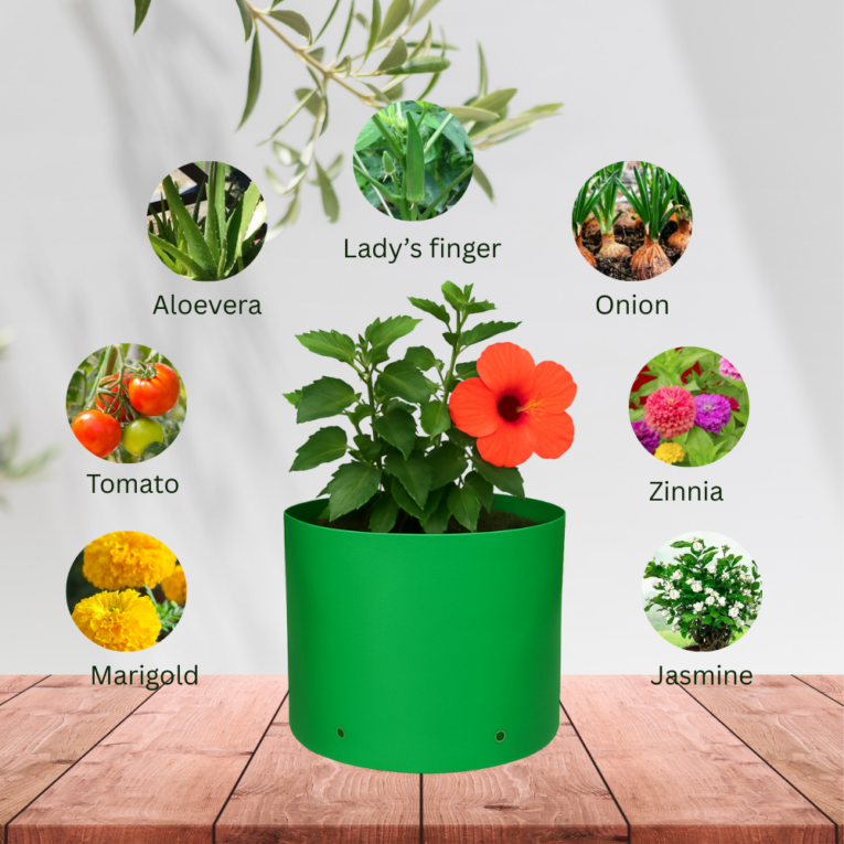 Round grow bag 340 GSM