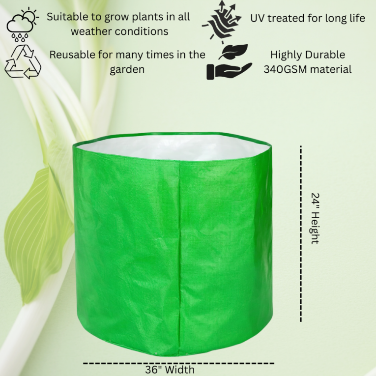 Best grow bag for terrace garden